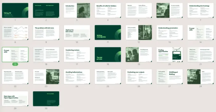 AI for bid writers <br>a practical guide