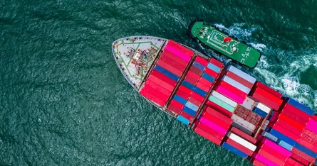 Does your service have ALL the tender opportunities?